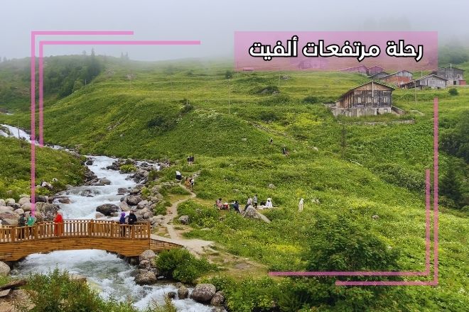 رحلة مرتفعات ألفيت